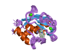 Matrix-Metallopeptidase 20