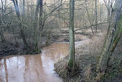 Meandrující Bystřice u Hořic v Podkrkonoší