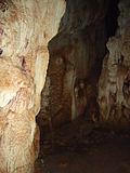 Miniatura para Cueva de la Pileta