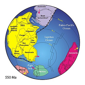 Reconstruction of Earth 550 Ma ago showing the...