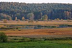 Rambower Moor