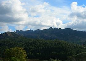 Serra de cardo79.JPG