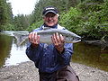 Sockeye salmon caught on an Alaskan stream