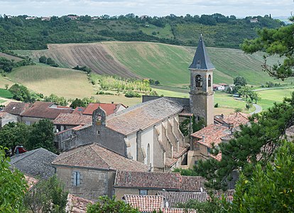 La collégiale Saint-Rémy.