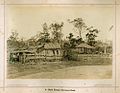 Bark humpy, Brisbane, 1874