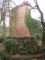 Burg Stolzeneck, Schildmauer