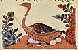 Syrische Darstellung eines Straußes aus dem 14. Jahrhundert