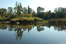 Sacred Grove Island in Tori Parish, Parnumaa, Estonia Tori iiesaar.JPG