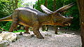 Triceratops, DinoPark Bratislava