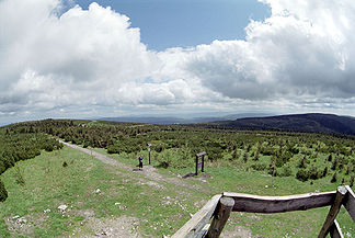 Blick von der Deschneyer Großkoppe über das Adlergebirge