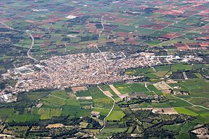 Vista aèria de Muro.JPG