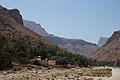 Wadi Tiwi