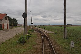 Station Gąsawa