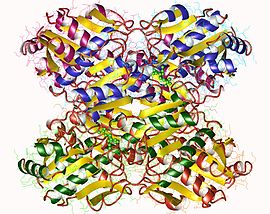 Image illustrative de l’article Phosphofructokinase-1