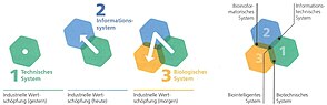 Die Entwicklungsmodi der Biologischen Transformation sind hier dargestellt.