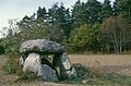 Dolmen bei Ambert - Dolmen von Boisseyre