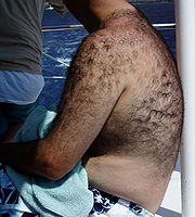 A human male with body hair.