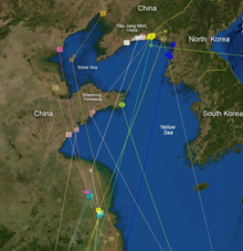 Migration paths and resting grounds of bar-tailed godwit at the Yellow Sea. Bar-tailed Godwit9may.png