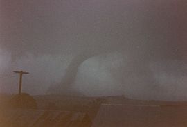 Bucca Tornado.jpg