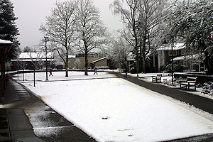 Catlin Gabel Commons during Snow.jpg