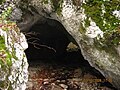 Пещерата Шупли камък под селото, на десния бряг на Огоста