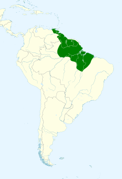 Distribuição do pica-pau-de-coleira