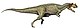 Ceratosaurus nasicornis DB.jpg