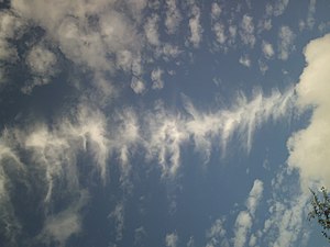 背骨のような肋骨雲