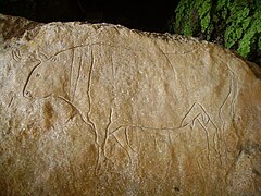 Gravure d'un taureau dans la Grotte du Romito en Calabre qui présente des traces d'occupation humaine s'étendant du Paléolithique supérieur (25 000 ans) au VIIe millénaire av. J.-C. On retrouve de grandes quantités d'obsidienne, ce qui émet l'hypothèse que la grotte était une base importante pour le commerce de l'obsidienne entre la mer Tyrrhénienne et la mer Ionienne.