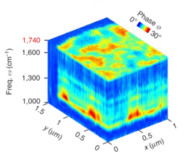 гиперспектральное изображение в нано-FTIR