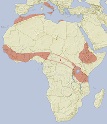 Hystrix cristata distribution map.png