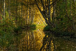 Peter Becker mit Spreewaldfließ im Herbst