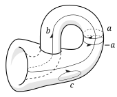 Cycles on a 2-sphere  S 2 {\displaystyle S^{2}} 