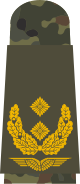 80px-LA_OS5_62_Generalmajor.svg.png