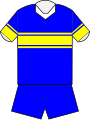 Leeds Rhinos 2010 home