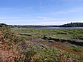 Sumpfgebiet am Auray bei Auray