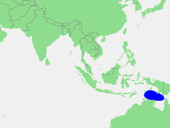 आराफ़ूरा सागर Arafura Sea - आराफ़ूरा सागर की अवस्थिति