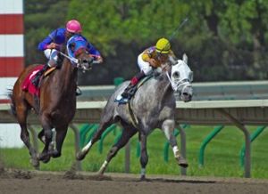 300px Monmouth Park