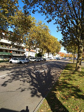 Image illustrative de l’article Avenue de Brabois