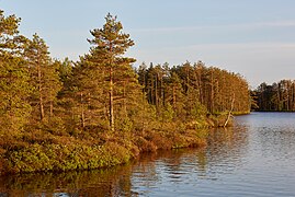 Nigula raba ja Nigula järv