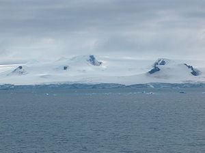 Blick von Half Moon Island auf den Panega-Gletscher