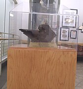 A piece of the USS Arizona superstructure on display in the 2nd floor of the Carl T. Hayden VA Hospital.