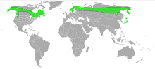 Breeding range of P. enucleator