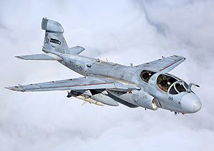 Полет дивизиона Prowler Final Flight (обрезано) .jpg