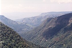 Údolí řeky v národním parku Nyanga