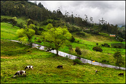 Road to Choachí