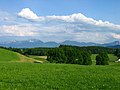 Tal des Steinbachs südlich von Untersiffelhofen. Links im Hintergrund die Benediktenwand.