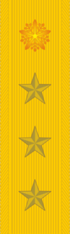 100px-Supreme_Commander_rank_insignia_%28Manchukuo%29.png