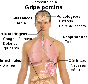 Symptoms of swine flu-es