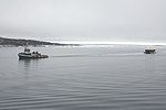 Tandberg Polar bogserande Maud genom Bellot Strait
